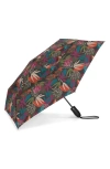 Shedrain Folding Umbrella In Isla
