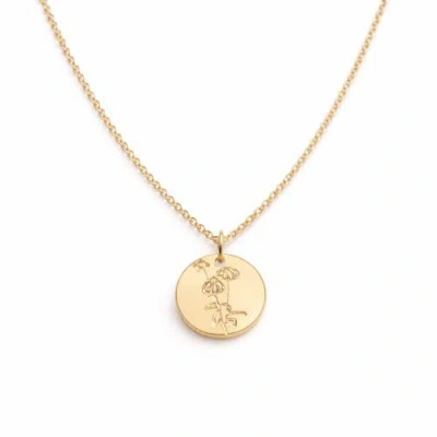 Sheena Marshall Jewelry Wild Daisy Pendant Necklace In Gold