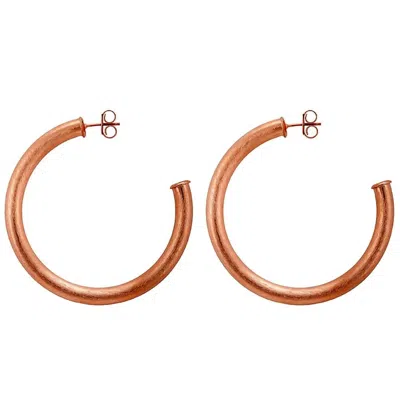 Sheila Fajl Women's Arlene Large Hoops In Rose Gold In Brown