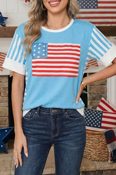 Shewin Flag Print Colorblock Top In Blue In Multi