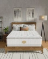 Shifman In Bloom 18 Plush Pillow Top Mattress Collection In White