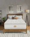 Shifman In Bloom 18" Plush Pillow Top Mattress, Twin In White