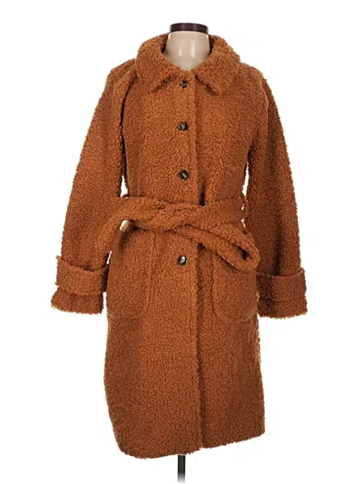 Pre-owned Shinestar Coat In Brown