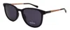 Shinola Sh3701s-001-52-19-145 In Black