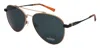 Shinola Sunglasses Sh2101s-718-56-16-145 Non-polarized In Green