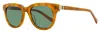 Shinola Unisex Soft Rectangular Sunglasses Sh1501s 243 Honey Tortoise 51mm In Brown