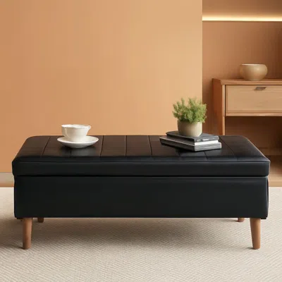 Shipitfurniture Black 44.5-inch Storage Ottoman With Premium Gas Spring