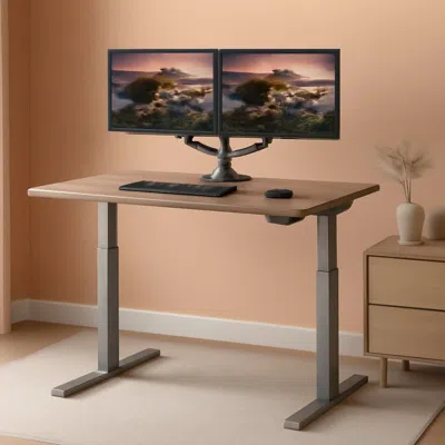 Shipitfurniture Electric Standing Desk 60x30 Memory Presets Studio