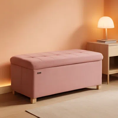 Shipitfurniture Jelly Pink Velvet Storage Ottoman Bench 15x30 Inches
