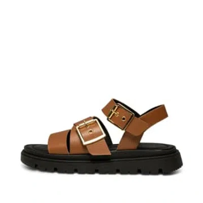 Shoe The Bear Rebecca Buckle Leather Sandal In Brown