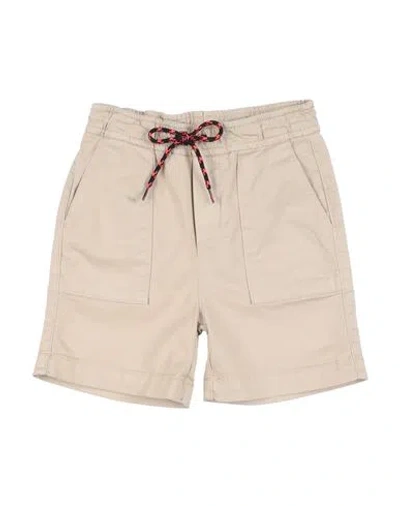 Shoe® Babies' Shoe Toddler Boy Shorts & Bermuda Shorts Beige Size 6 Cotton, Elastane