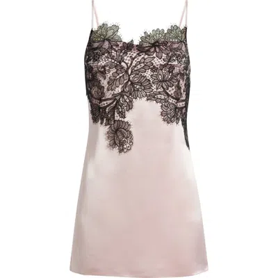 Shona Joy Lucia Lace Minidress In Fairyfloss/black