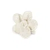 Shondel Men's White La Fleur Ring - Coconut In White