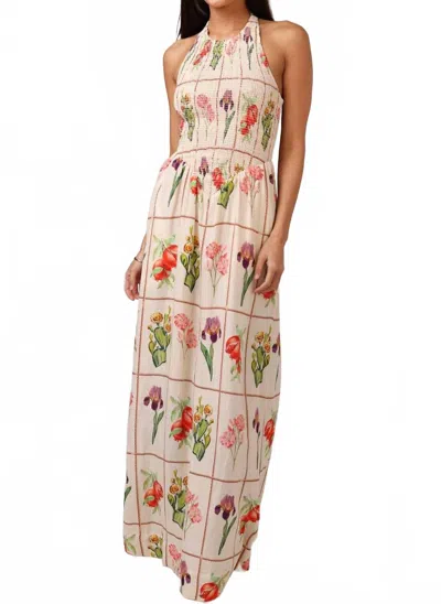 Shore. Maria Maxi Dress In Desert Flower In Multi