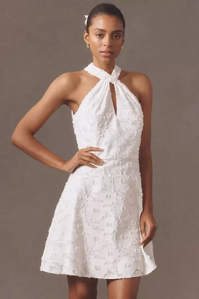 SHOSHANNA EDWINA TWIST HALTER LACE A-LINE MINI DRESS