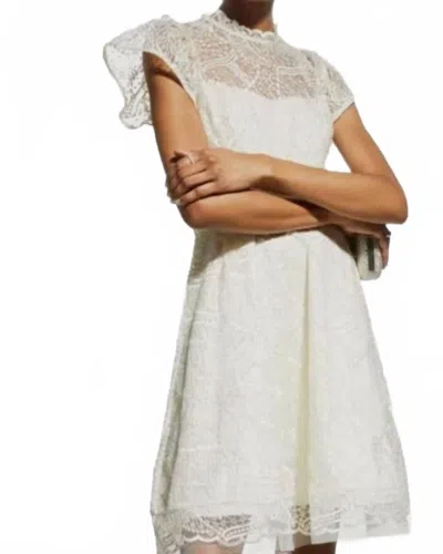 Shoshanna Everlie Dress In Ivory In Neutral