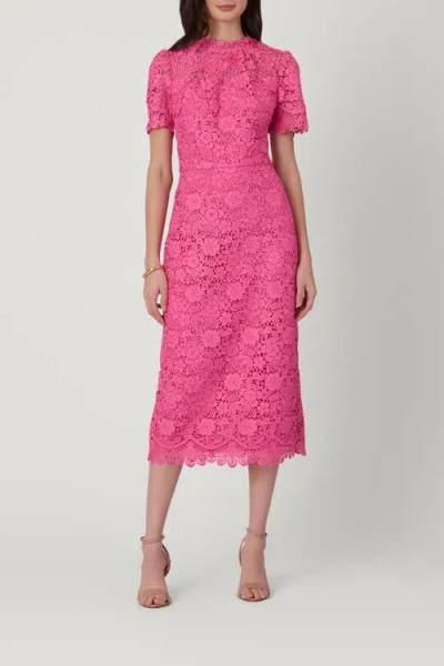 Shoshanna Vivienne Scalloped Floral Lace Midi Dress In Pink