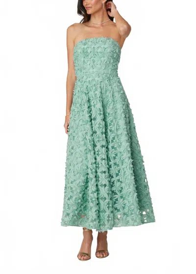 Shoshanna Strapless Floral Applique Maxi Dress In Pistachio In White