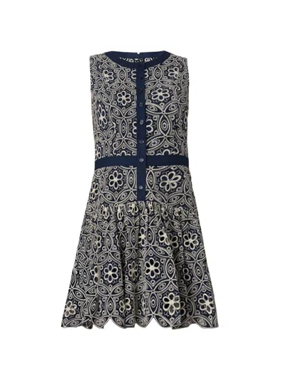 Shoshanna Sierra Floral-embroidered Flounce Mini Dress In Blue