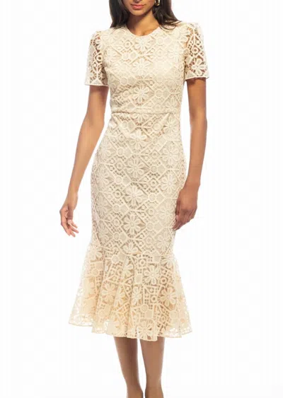 Shoshanna Women's Thompson Dress In Peach/ivory In White