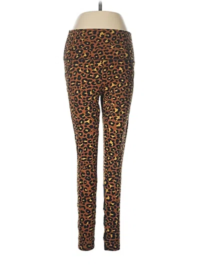 Pre-owned Shosho Leggings In Brown