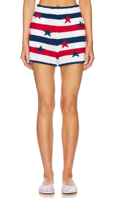 Show Me Your Mumu Boardwalk Shorts In White,red