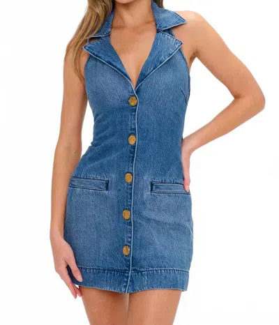 Show Me Your Mumu Darien Mini Dress In Blue