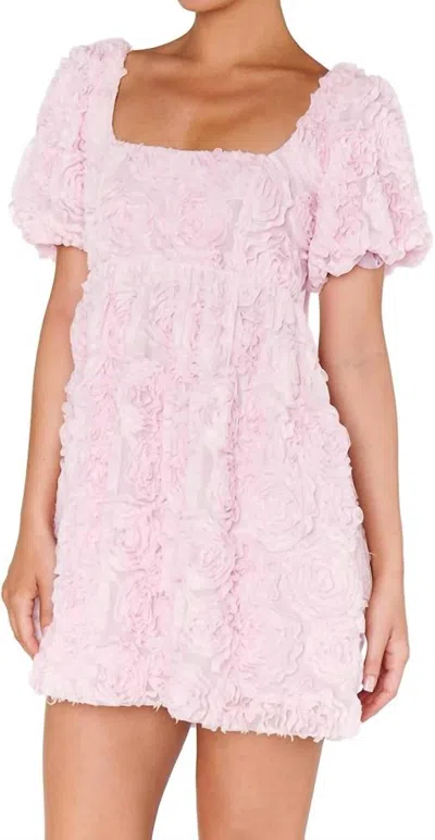 Show Me Your Mumu Smitten Baby Doll Dress In Rosette Mesh Pink In Multi