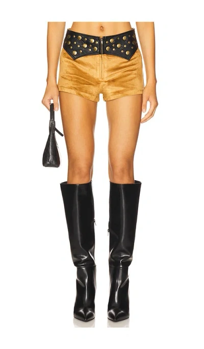 Show Me Your Mumu Wilson Shorts In Brown