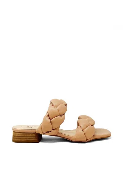 Shu Shop Cancan In Taupe In Grey