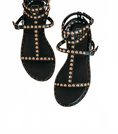 Shu Shop Women's Best Gold Stud Sandals In Black In Animal Print