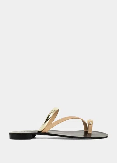 Shu Shop Women's Brenda Flat Sandal In Nude In Multi