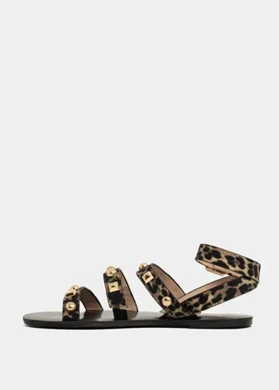 Shu Shop Women's Daphne Sandal In Leopard Print In Multi