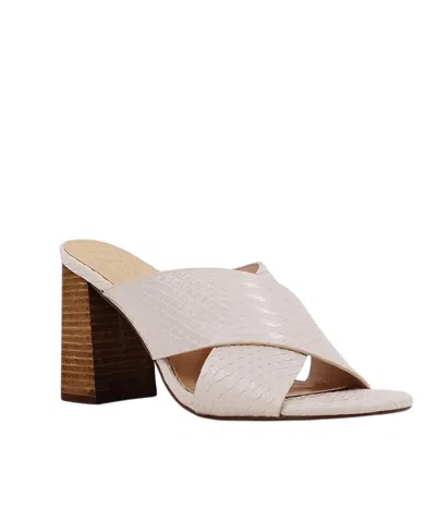 Shu Shop Women's Goya Heeled Sandal In Taupe Snake In Multi