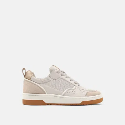 Shu Shop Women's Romi Fashion Sneaker In Taupe Suede In Multi