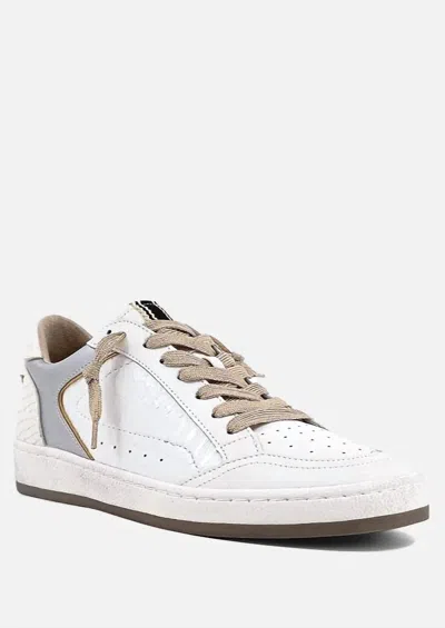 Shu Shop Women's Snake Laceup Sneaker In White In Multi
