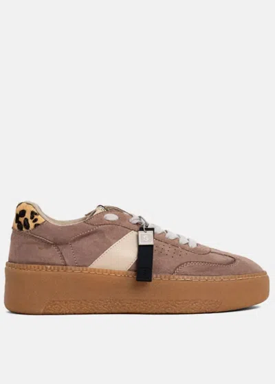 Shu Shop Women's Stacey Faux Suede Sneaker In Taupe Suede In Brown