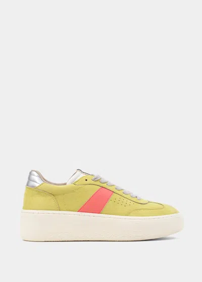 Shu Shop Women's Stacey Sneakers In Lime Green