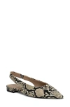 Shushop Amelia Slingback Flat In Brown