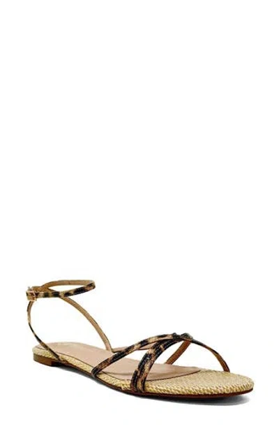 Shushop Betty Ankle Strap Sandal In Multi