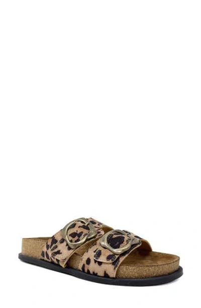 Shushop Brooke Slide Sandal In Brown