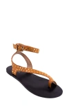 Shushop Carrie Ankle Strap Sandal In Brown