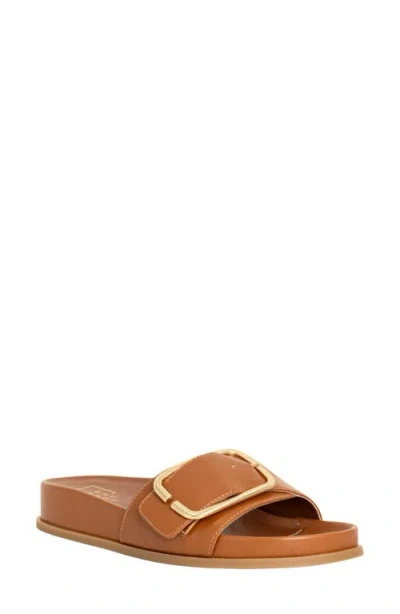 Shushop Delphine Slide Sandal In Brown