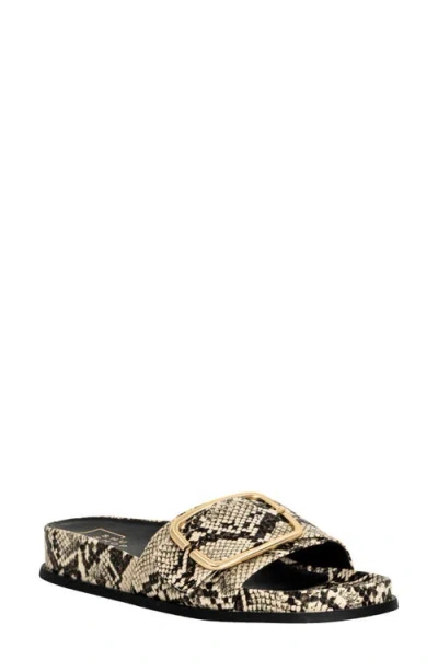 Shushop Delphine Slide Sandal In Multi