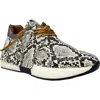 Shushop Pepa Snake Embossed Sneaker In Brown Snake