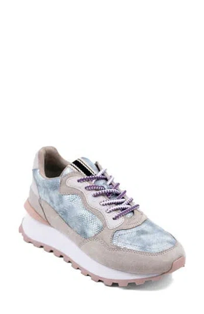 Shushop Phoebe Sneaker In Multi