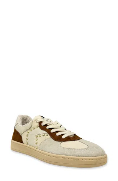 Shushop Portland Sneaker In Multi