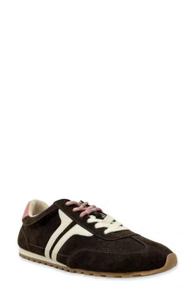Shushop Sarah Sneaker In Brown