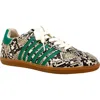 Shushop Stevie Sneaker In Brown