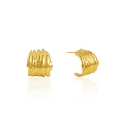 Shyla Aurelia Earrings In Gold